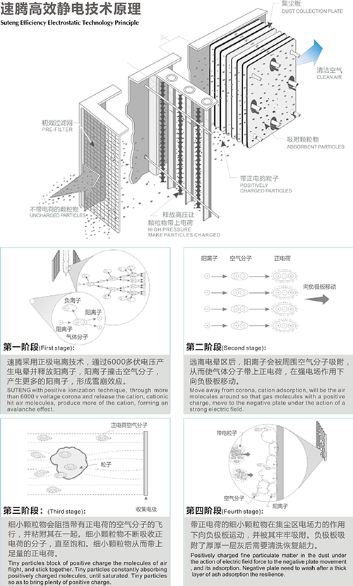 重慶靜電樱桃在线视频观看